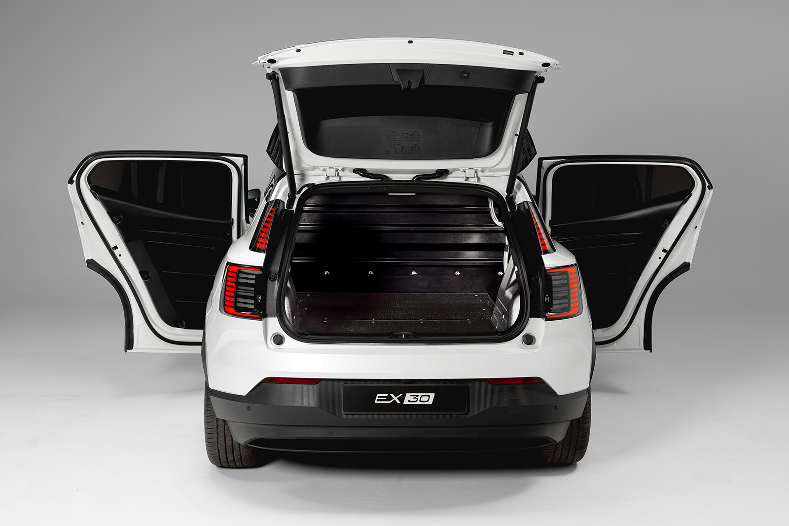 Volvo EX30 van - rear