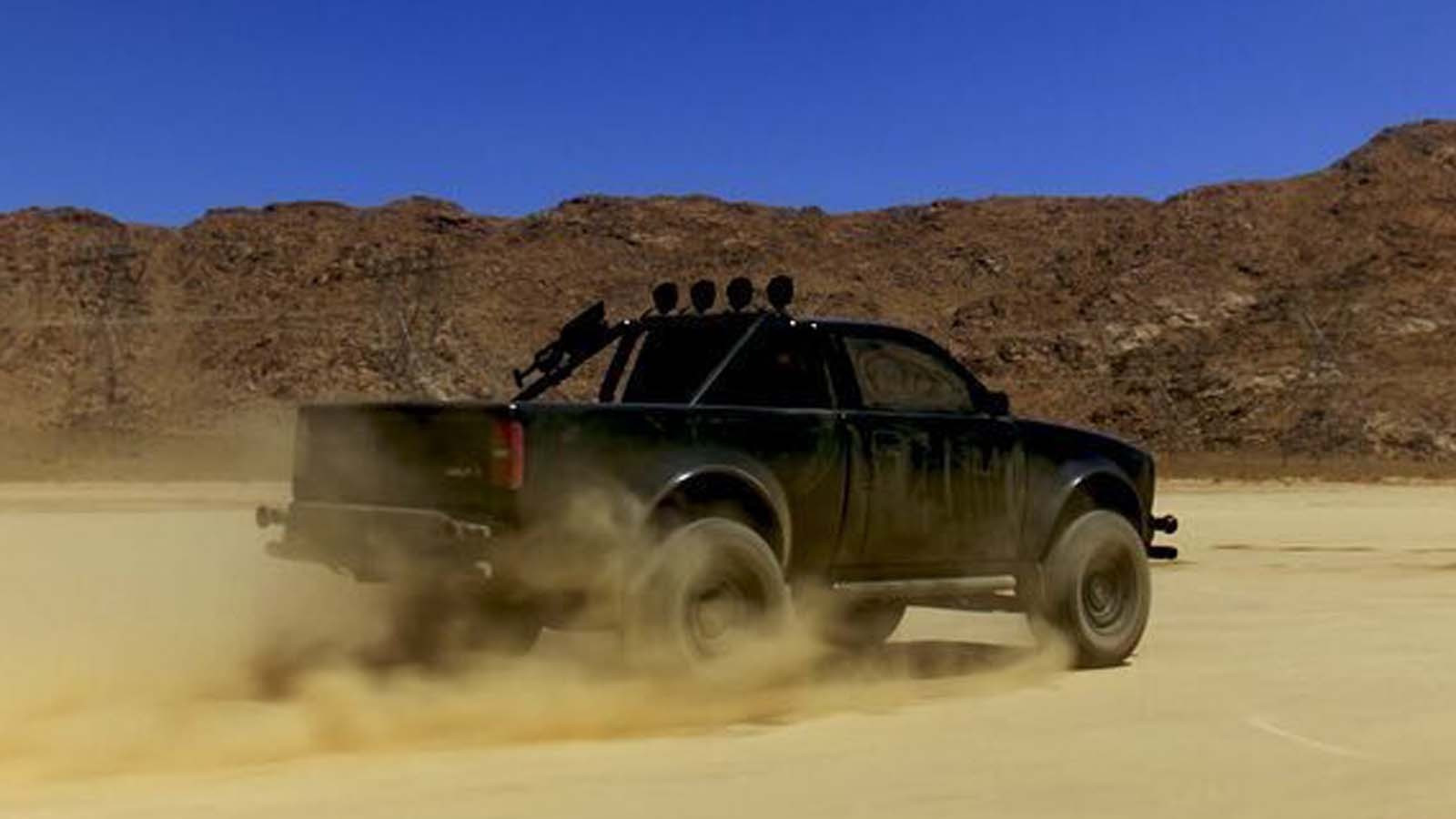 2025 Alpha Wolf 2025 Alpha Wolf