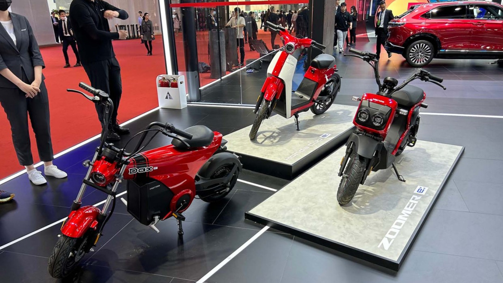 Honda Cub, Dax, Zoomer