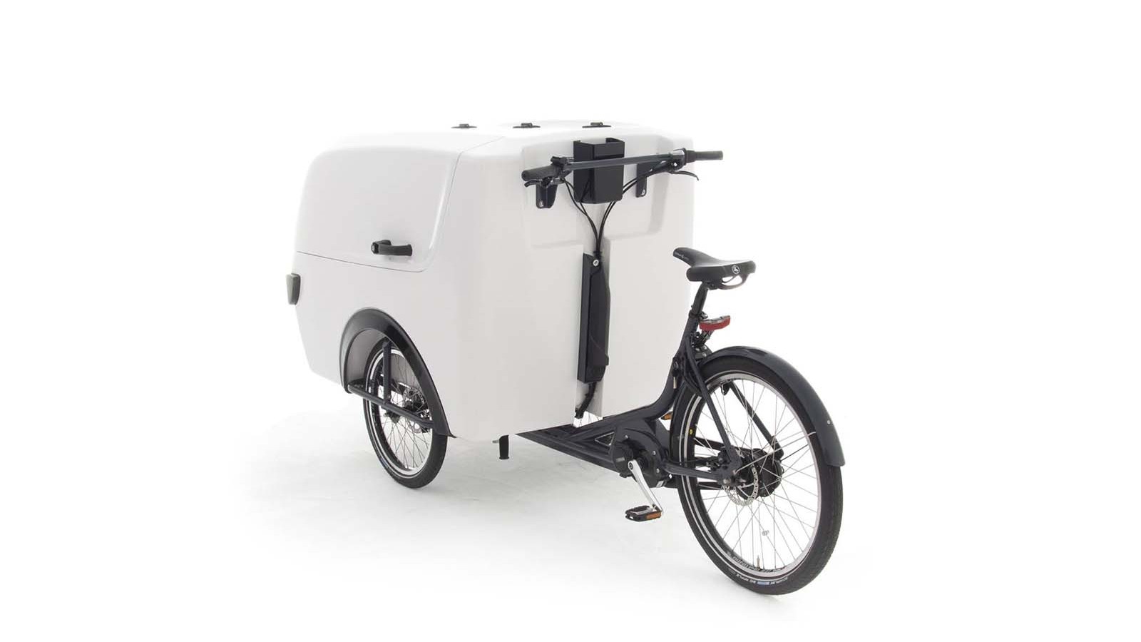 Raleigh Pro Electric Cargo Trike