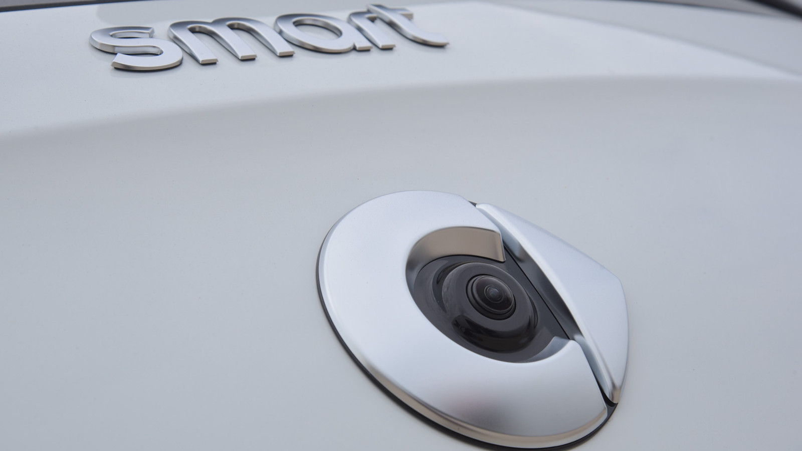 Mit Modellen wie dem Dacia Spring, dem Hyundai Inster und dem BYD Dolphin Surf, die immer beliebter werden, ist klar, dass das Segment der kleinen Elektroautos stärker denn je ist.